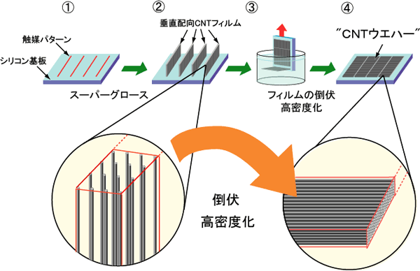 カーボンナノチューブ・ウエハーの作製工程の模式図