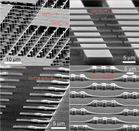 種々のカーボンナノチューブ構造体の電子顕微鏡写真
