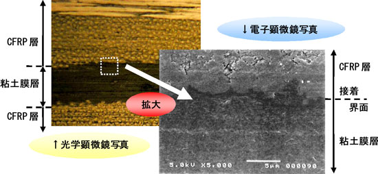 本複合材料断面写真
