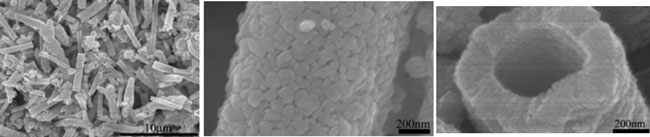 酸化タングステンナノチューブの走査型電子顕微鏡の写真