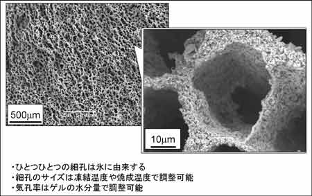 ゼリーが凍る現象を利用して作製した高気孔率(約90％)の炭化ケイ素の写真