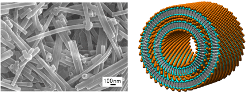 金属錯体タイプ有機ナノチューブの走査電子顕微鏡像とその推定構造図