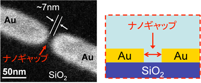 従来の平面型ナノギャップ不揮発性素子のSEM像及び断面図