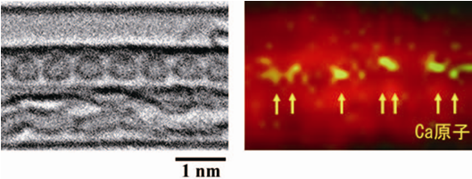 カルシウム金属入りフラーレンの元素マップ像の写真