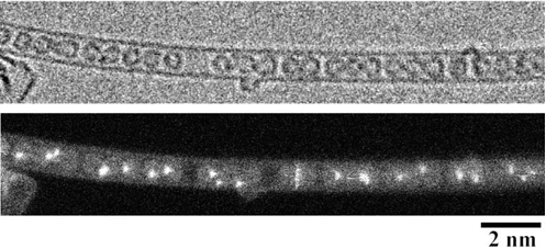 新型電子顕微鏡で撮影されたエルビウム金属入りフラーレンの電子顕微鏡像の写真