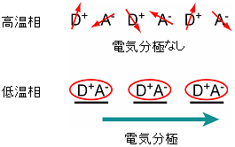 電荷を持ったドナー分子（Ｄ＋）とアクセプター分子（Ａ－）がペアを組んで電気分極が生じる概念図