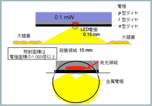 電極の端から漏れる紫外線で殺菌可能の概要図
