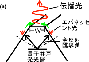 微小なリッジ構造におけるエバネッセント光の干渉現象を示す模式図