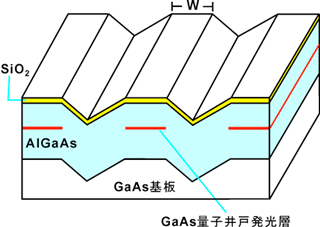 今回作製した試料の模式図