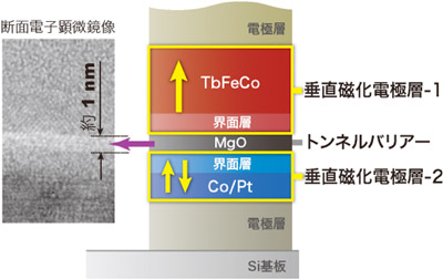 開発した垂直磁化TMR素子の断面構造の電子顕微鏡写真と断面構造の模式図