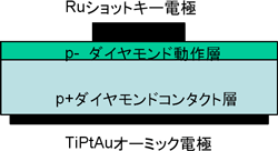 試作したダイオード整流素子の模式図