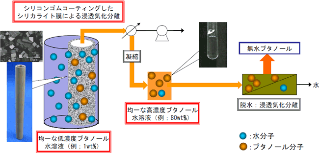 新規の分離膜による低濃度ブタノール水溶液からのブタノール無水化システムの図