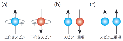 電子のスピン、電子対の対称性の概念図