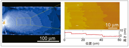 光学顕微鏡（左）と原子間力顕微鏡（右）で観察した有機半導体単結晶薄膜のステップ・テラス構造図