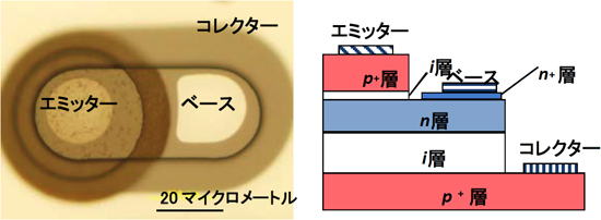 （左）ダイヤモンドバイポーラトランジスタの実物写真と（右）ダイヤモンドバイポーラトランジスタの模式図