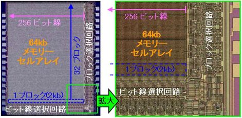 チップの全体写真とチップの右下隅を拡大した光学顕微鏡写真