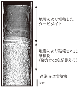 仙台沖のSt.1から採取された堆積物コアの透過X線画像の図