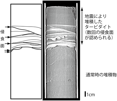 震源に近いSt.6から採取された堆積物コアの透過X線画像の図