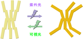 今回用いた化合物の光による構造変化の図