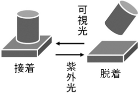 接着と脱着の図