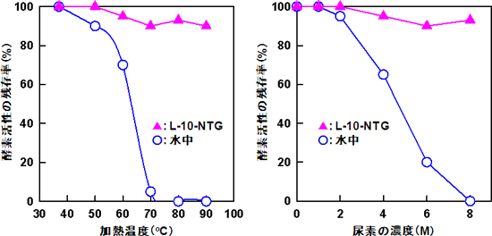 有機ナノチューブゲルに包接されたCABと水中のフリーのCABの熱安定性および化学安定性の比較の図