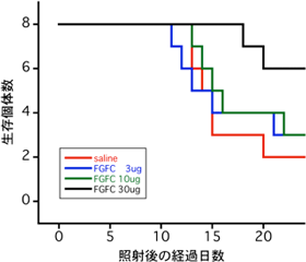 6 GyのX線を全身照射し、その2時間後にFGFCを腹腔内投与したマウスの生存曲線図