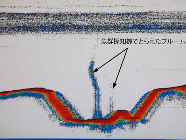 魚群探知機でとらえたカルデラ底から立ち昇るプルームの図