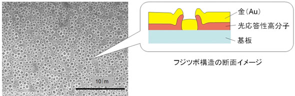 フジツボ構造の走査型電子顕微鏡写真と断面のイメージ図