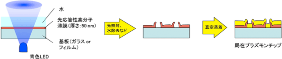 フジツボ構造の形成プロセス図