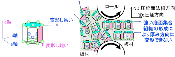 マグネシウムの室温における結晶異方性と圧延によるマグネシウム合金板材の集合組織形成図