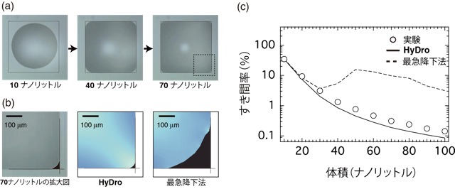 親水領域上にインクジェット印刷法で超純水を塗布したときの様子、及び実験結果とシミュレーションの比較図