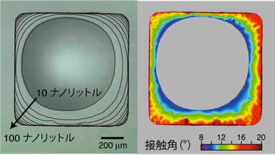 接触線と変化（左）と接触角の分布図（右）