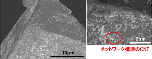 加工した単層CNT/ゴム複合材料の表面SEM像（左）と断面SEM像（右）の写真