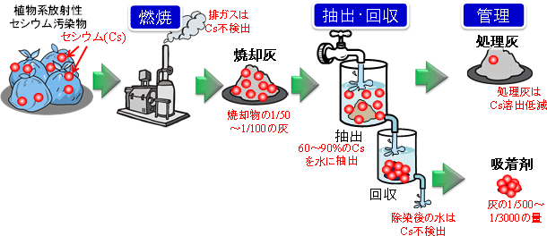 今回の実証試験の概要と結果の図