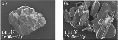ほぼ同じ比表面積（BET値）を有するアチソン粉体、および開発SiC粉体の拡大写真