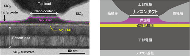 ナノコンタクト型スピントルク発振素子の断面構造図