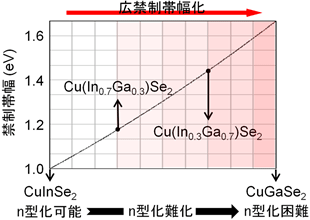 pp-GalNAc-T糖転移酵素説明図
