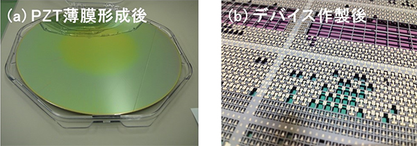 PZT薄膜を形成した200 mmウエハーと200 mmウエハーで作製した圧電MEMSデバイスの写真