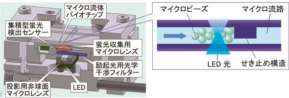 LED励起蛍光検出装置とマイクロ流路断面構造の図