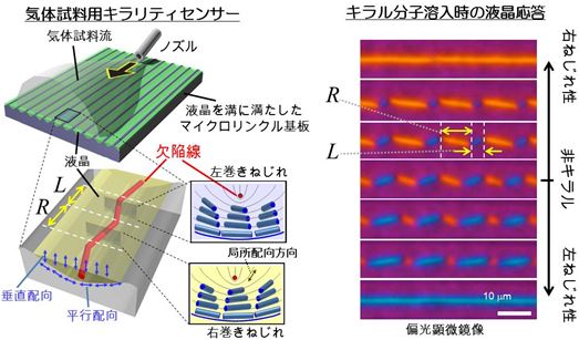 図1 マイクロリンクルの溝中の周期的な液晶配向構造の変化による光学活性気体分子のセンシングの写真