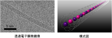 カーボンナノチューブに閉じ込めたCsI原子鎖の実際の電子顕微鏡像と模式図画像