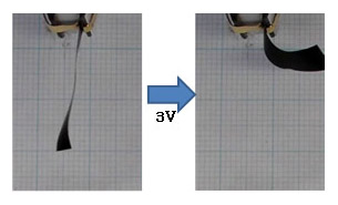 ナノカーボン高分子アクチュエーターの図