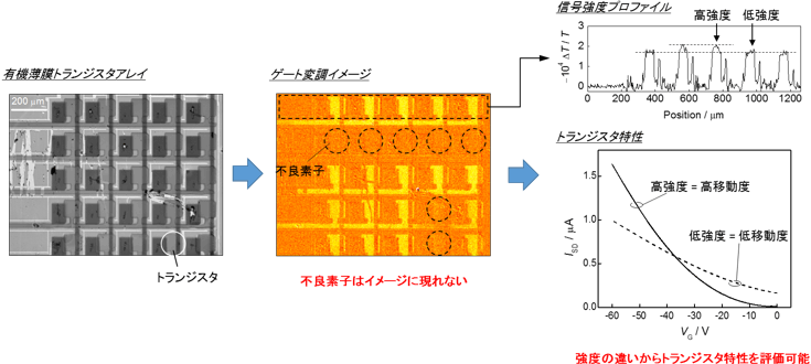 有機トランジスタアレイのゲート変調イメージング測定結果の図