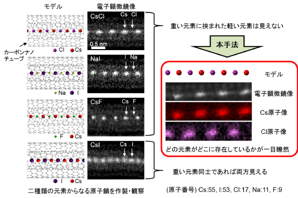 原子鎖に含まれる軽元素の可視化の図