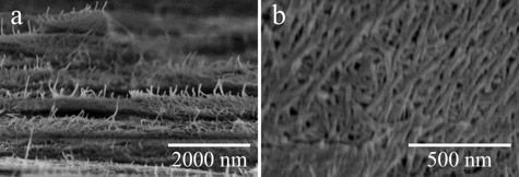 断熱性・光反射アルミナ膜のSEMによる断面(a)と表面(b)の写真