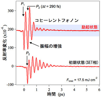超格子構造のGeTe/Sb2Te3において得られたプローブ光の反射率変化の図