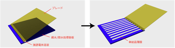 有機強誘電体単結晶薄膜の作製過程の図