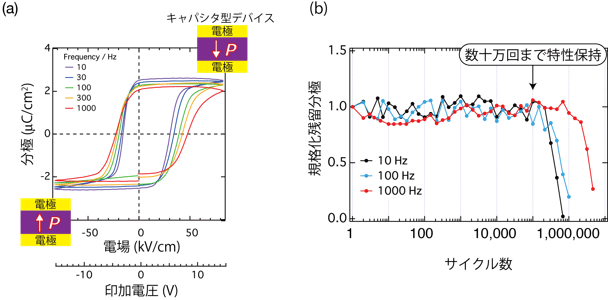 今回作製した単結晶薄膜の強誘電特性の図