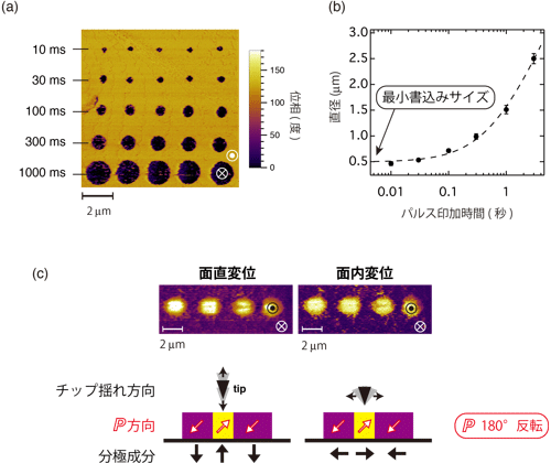 圧電応答顕微鏡による局所分極反転操作の図