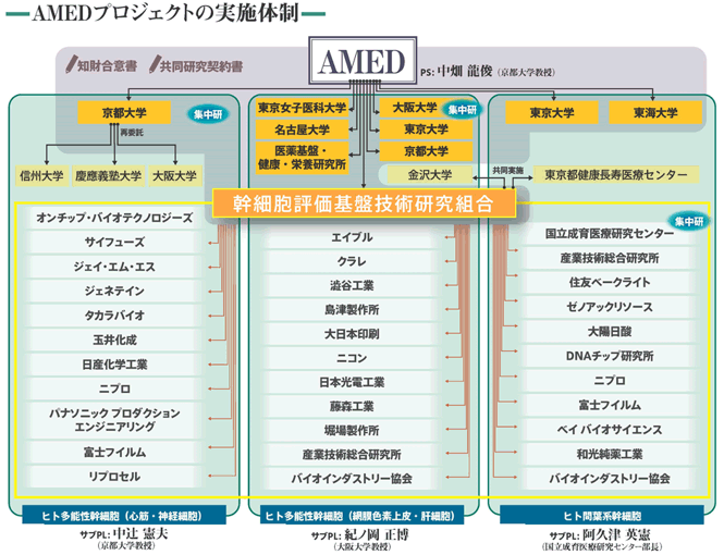 幹細胞評価基盤技術研究組合の組織とPJ実施体制の図
